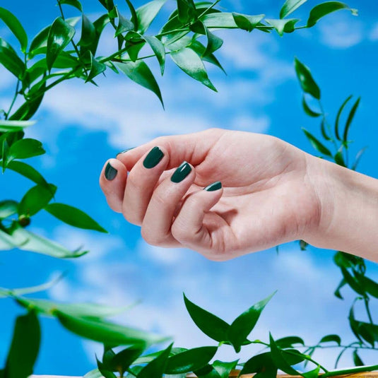 V5H3720E72DAA8A41E6B4808218BCEE900ER4549733P4