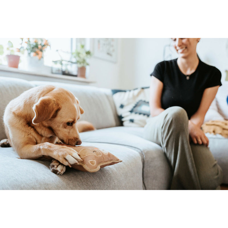 Lataa kuva gallerian katseluohjelmaan V3HAC6813EFED4E241A4E13860519BDD1CCR5574799P3
