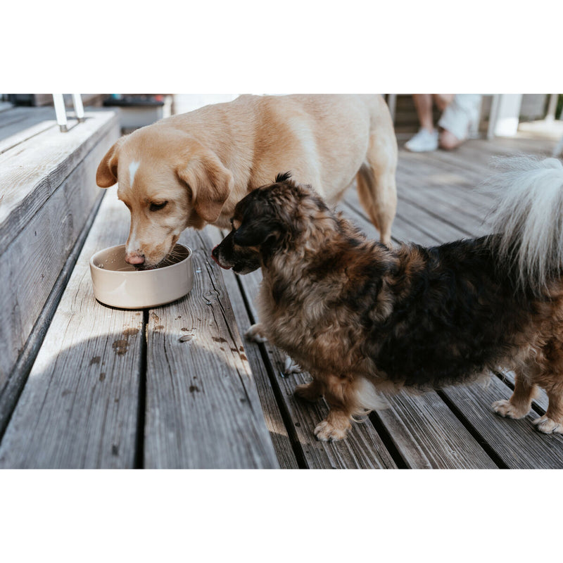 Lataa kuva gallerian katseluohjelmaan V4H54D2204EBBA87B28BB343B6689ED2BD7R5587765P5
