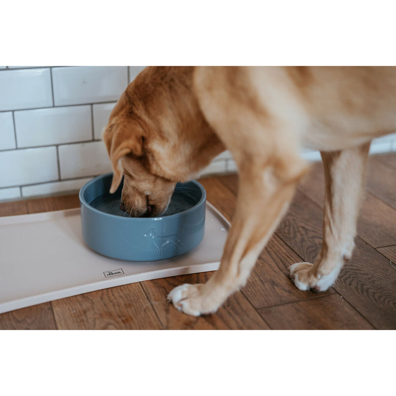 Lataa kuva gallerian katseluohjelmaan V4HEAC43DA38235F3D9D556B1896B08C29FR5584246P4
