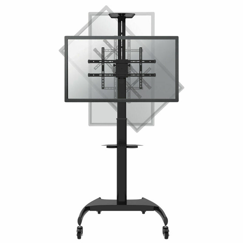 Lataa kuva gallerian katseluohjelmaan V13HF31598579916D0730C5921359746EC3BR3214434P2
