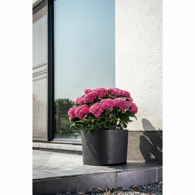 Lataa kuva gallerian katseluohjelmaan V4H95A8E68AD7299280A92FF893259455BAR5315864P4
