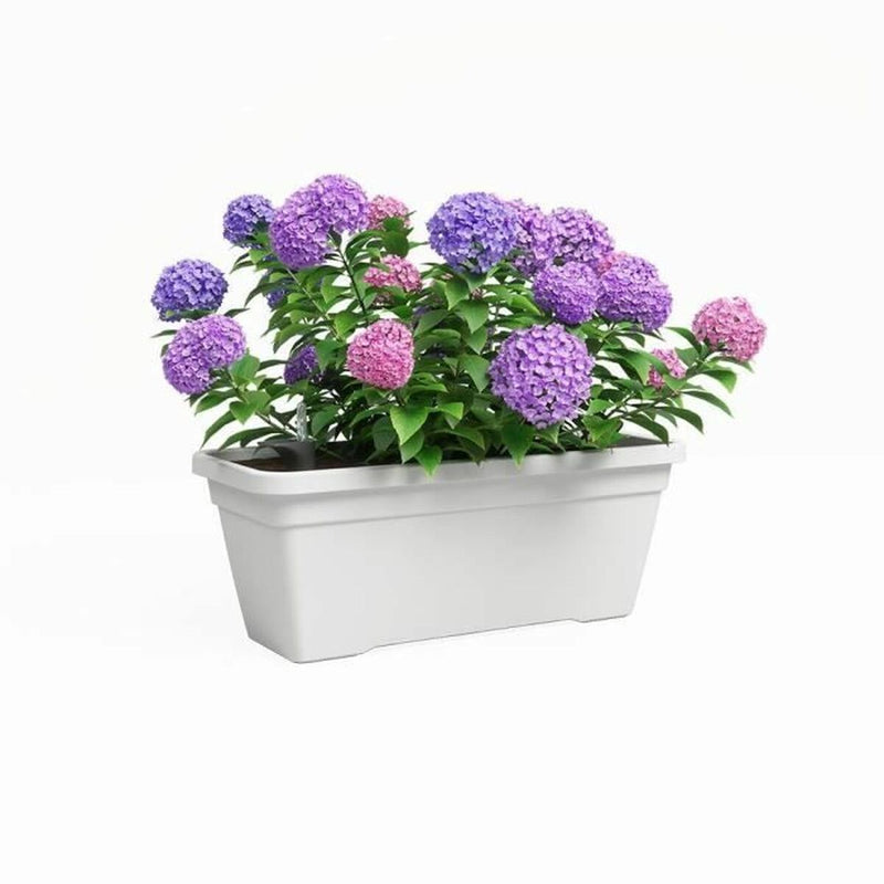 Lataa kuva gallerian katseluohjelmaan V4H60C7DEA42097C1665728EBC400705A22R5453794P2
