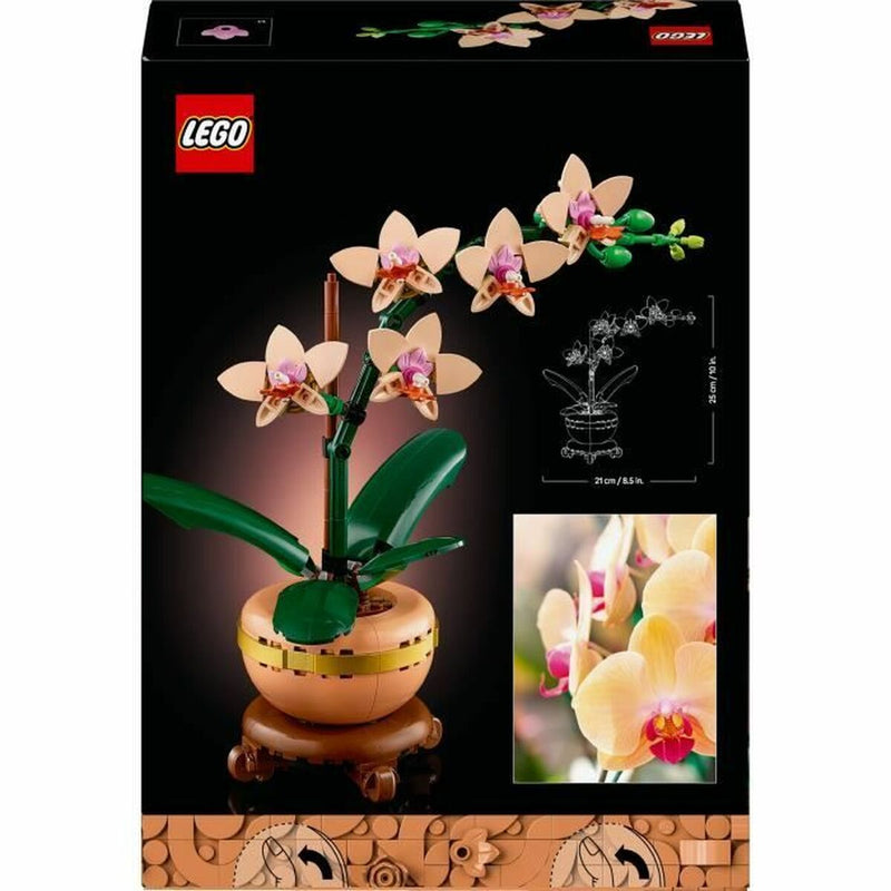 Lataa kuva gallerian katseluohjelmaan V3H0ADC5D2DC50D51ED6CB54D15EA6DA037R7028557P6
