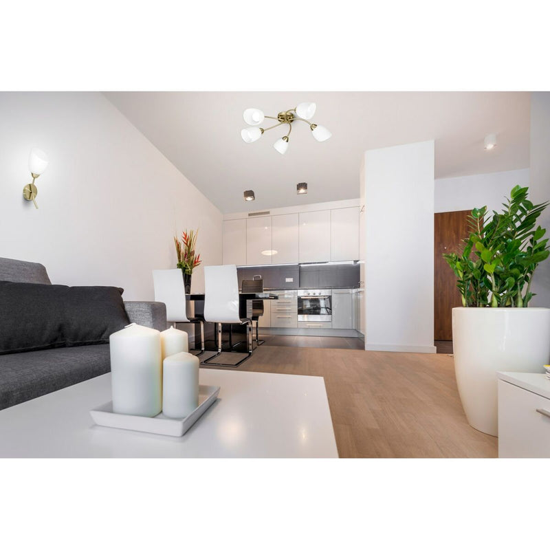 Lataa kuva gallerian katseluohjelmaan V9HB71D35FF1FCA44AC48C1168FAAF38357R6423409P6
