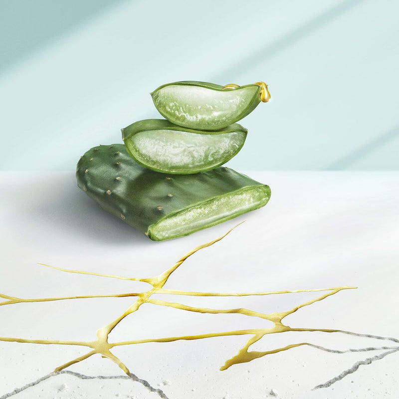 Lataa kuva gallerian katseluohjelmaan V6HEAAD25BC8D848DBFC018CCFBE84140E3R3757084P2
