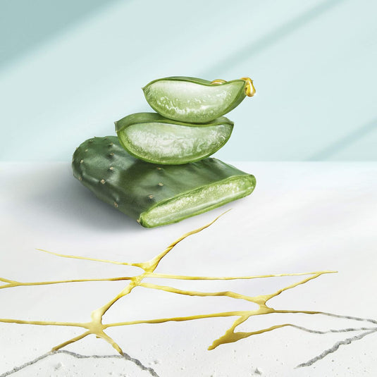 V6HEAAD25BC8D848DBFC018CCFBE84140E3R3757084P2