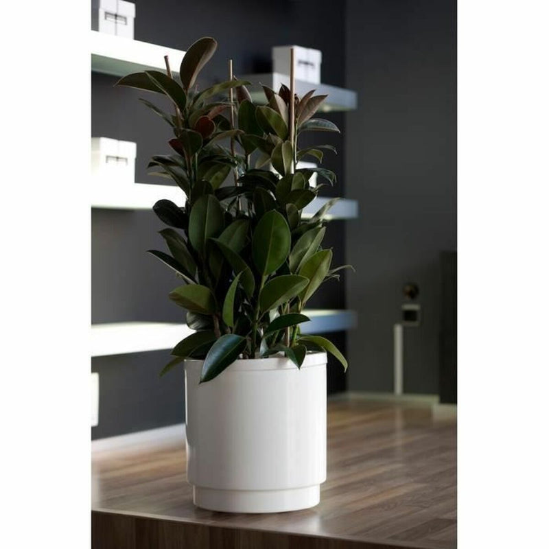 Lataa kuva gallerian katseluohjelmaan V5H90DDE8011BE8477A65D3EDC901DC371DR3440863P2
