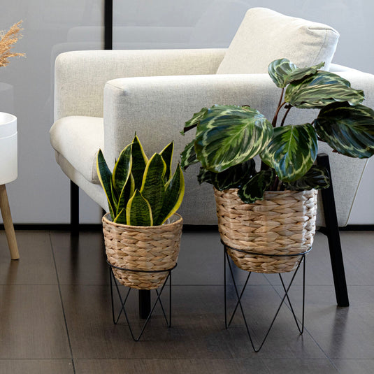 V5H02020842904B4FBB507611BAED010612R5341446P4