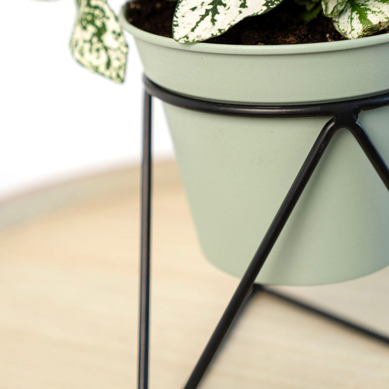 Lataa kuva gallerian katseluohjelmaan V5H2E53E67B4164C42D5E174130D2E24B14R5315048P6
