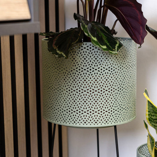 V5H4F880647457252129ECFA56C5C0E8735R5315067P8