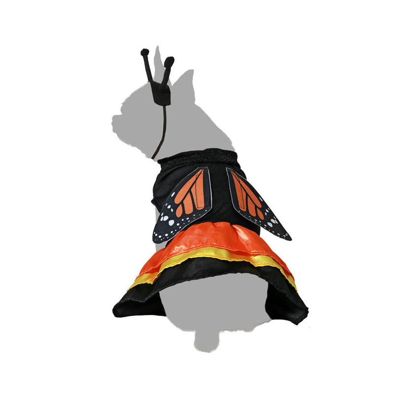 Lataa kuva gallerian katseluohjelmaan V5H08912BE2F285BE8AA9F95D66718A0D22R5006609P3
