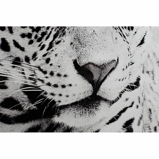 V12H487BF519285E1B47E3652DE489BBAB7DR6371992P3