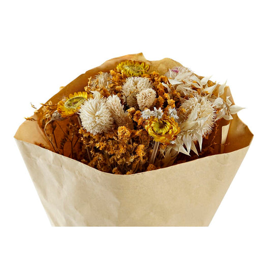 V8H195FB50207FA0563EE0942D62A1D6693R5661415P3