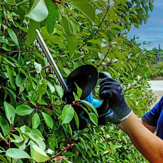 V8HA6B134102B21FFC69D8CB57FCB36F07AR5157146P7