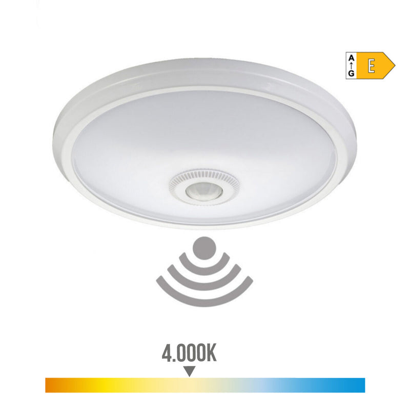 Lataa kuva gallerian katseluohjelmaan V5H6C044E079547935BD190E18DDD59420AR4449214P3
