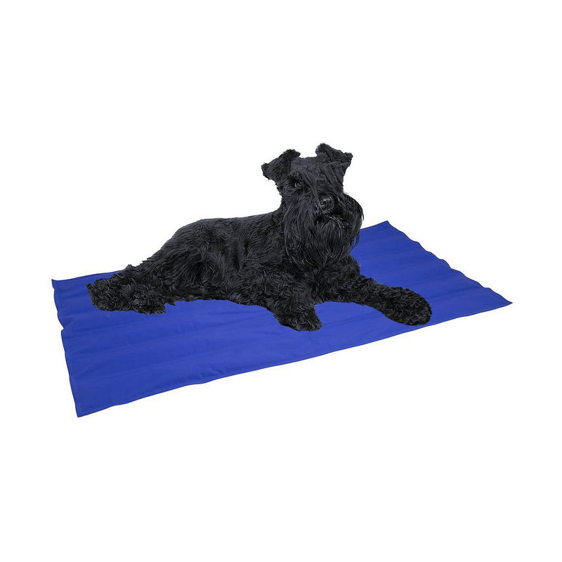 Lataa kuva gallerian katseluohjelmaan V13H7292351D4539F79DD789B85CD00904CDR6606165P2
