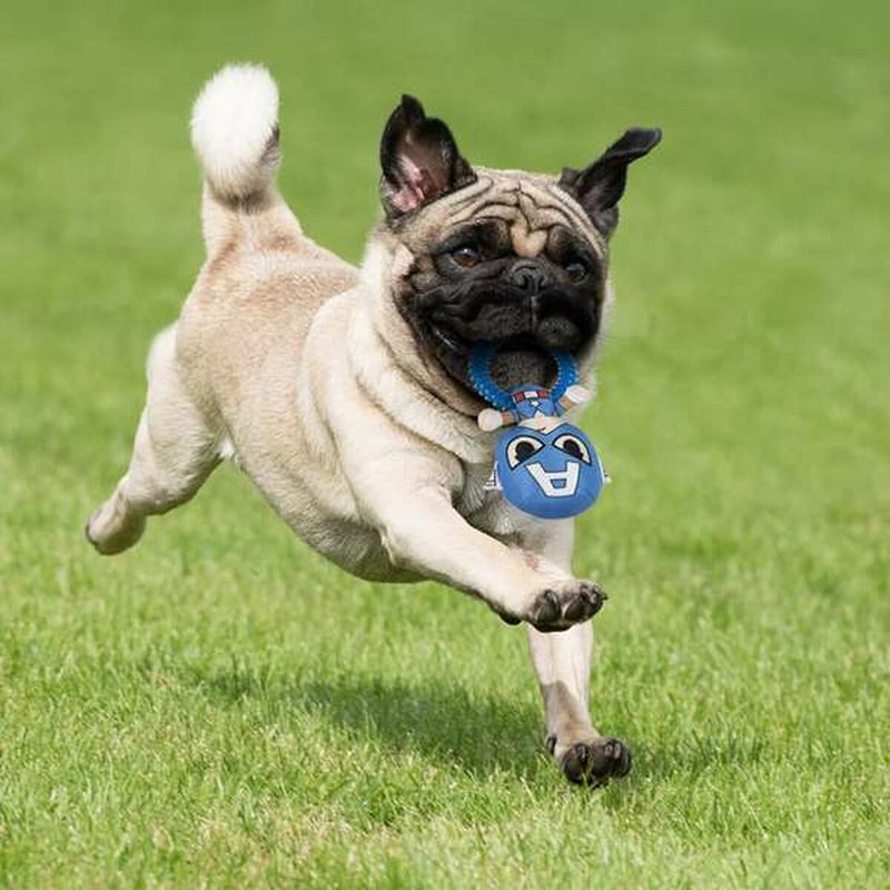 Lataa kuva gallerian katseluohjelmaan V4H20886313C0D1E23925AFC8D28A455B1DR5698364P4
