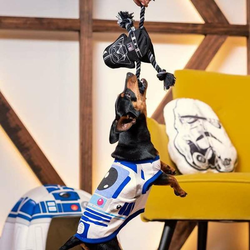 Lataa kuva gallerian katseluohjelmaan V4HFE134AB006A151CADE40262BB13FD13BR4655450P3
