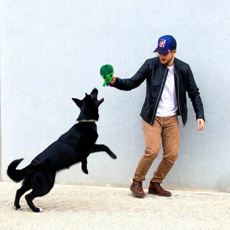 Lataa kuva gallerian katseluohjelmaan V5H526231E330CBB270FEAD6143A4FCECF1R7134525P8
