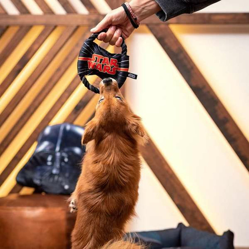 Lataa kuva gallerian katseluohjelmaan V4HFF69AD95E7454E987B16D6B34E550D73R4655569P3
