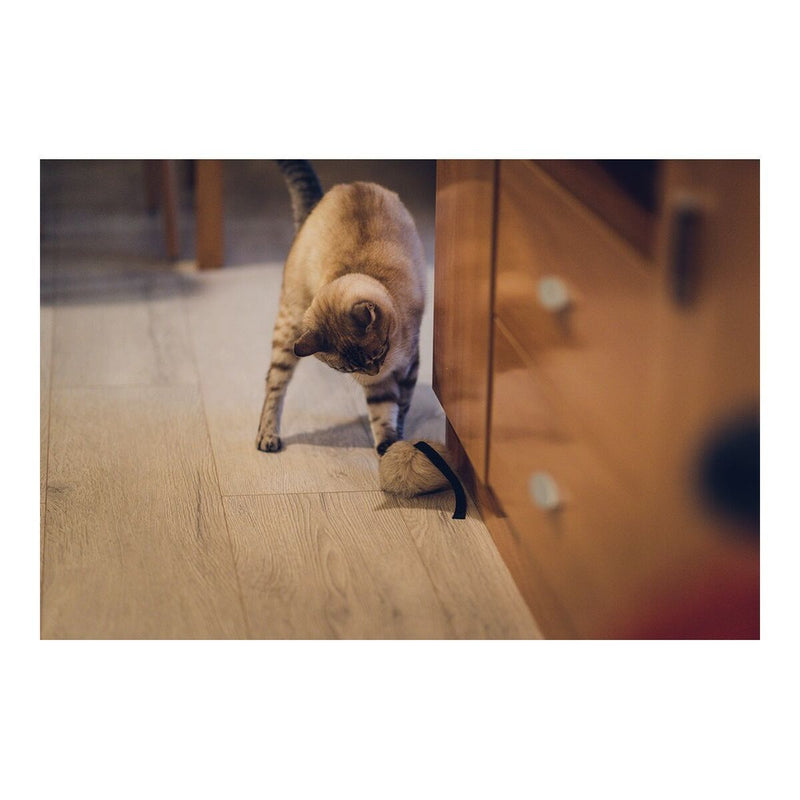 Lataa kuva gallerian katseluohjelmaan V11H19A39B3555F599D00C5621EF02F2BEFBR4108110P6
