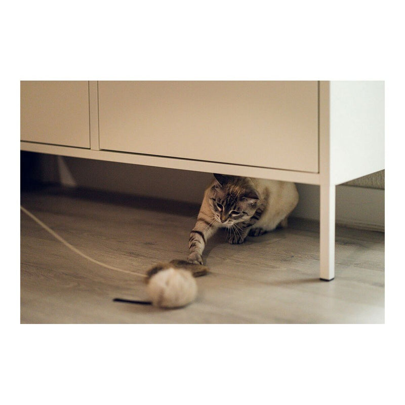 Lataa kuva gallerian katseluohjelmaan V11H116D63D9AB48F09DCFB032DED6C63E44R5597786P6
