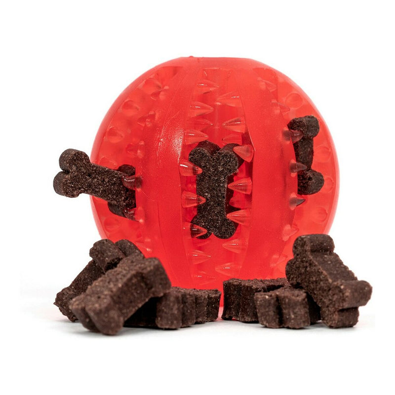 Lataa kuva gallerian katseluohjelmaan V11H4251253A59BD5C41AE7970D5DD476910R3905006P4
