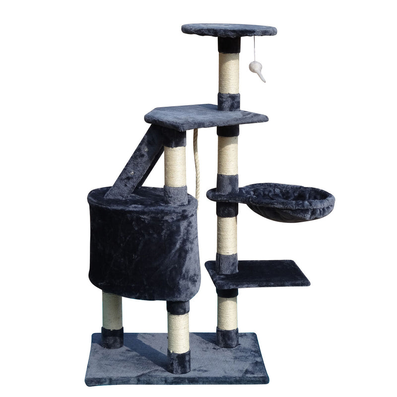 Lataa kuva gallerian katseluohjelmaan V4HA202BA47C496860D47F82EF7DA43884FR5554710P4
