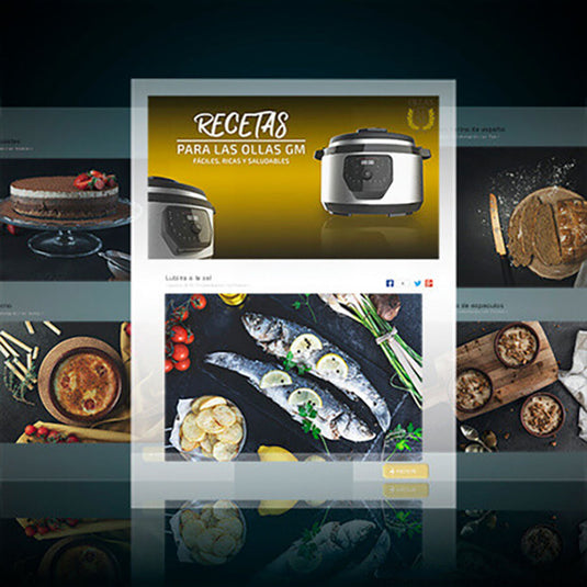 V13H0AE23A56088DD69001A9C9FA3A2C149ER1909905P4