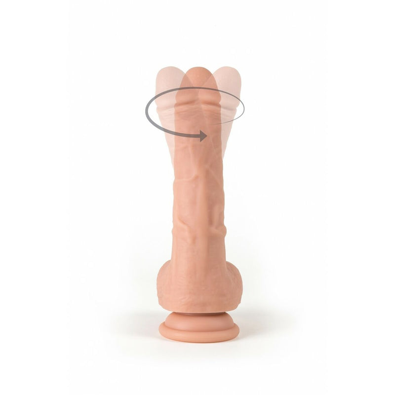 Lataa kuva gallerian katseluohjelmaan V6H43BD7DDC0A94192D1F556A621F3DED4CR4779454P1
