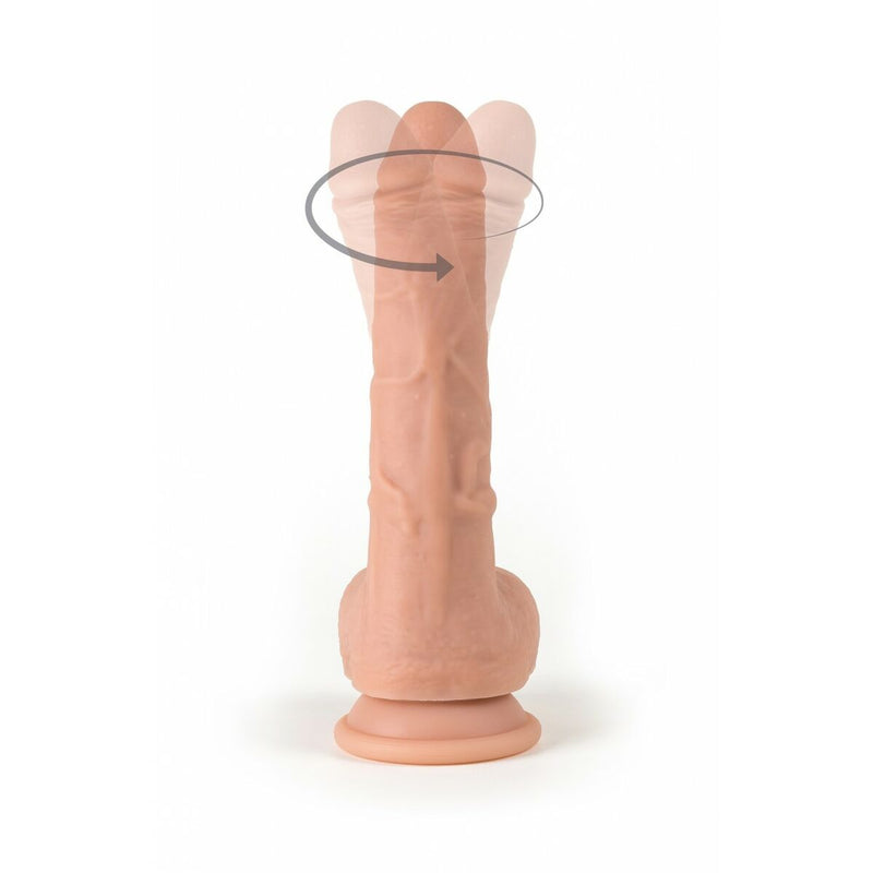 Lataa kuva gallerian katseluohjelmaan V6HE29DD02D8FFE33119E6CCAC9FEF3BDF8R4679348P1
