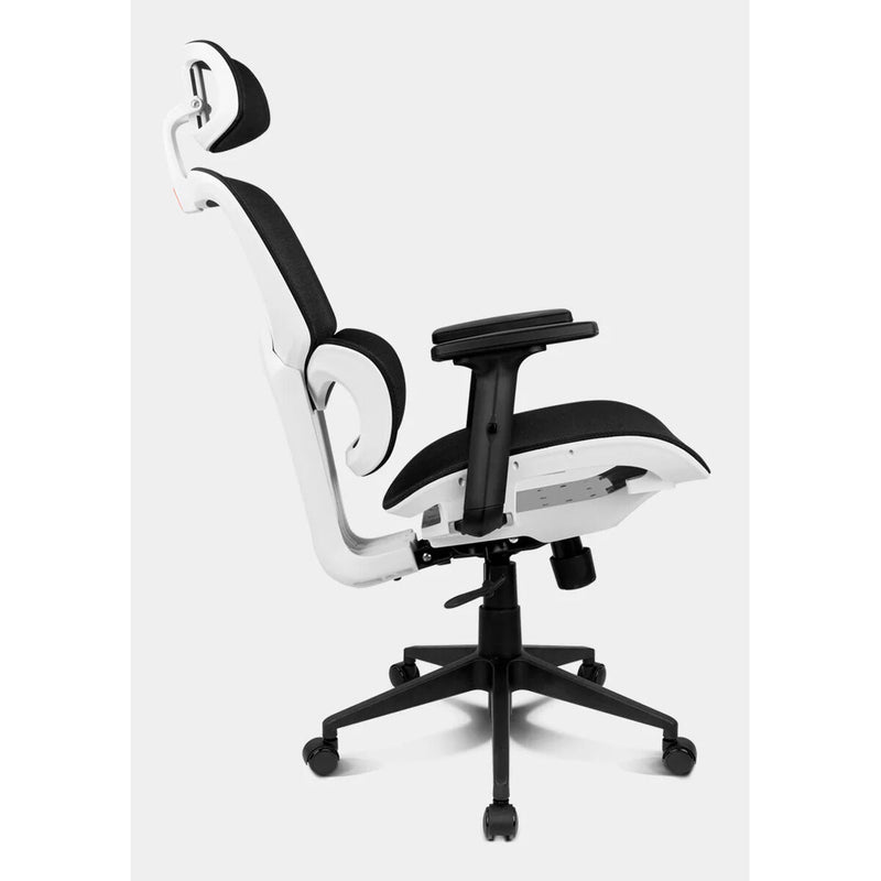 Lataa kuva gallerian katseluohjelmaan V4HE2F588256838B9B61760F2652678D86BR5097766P5
