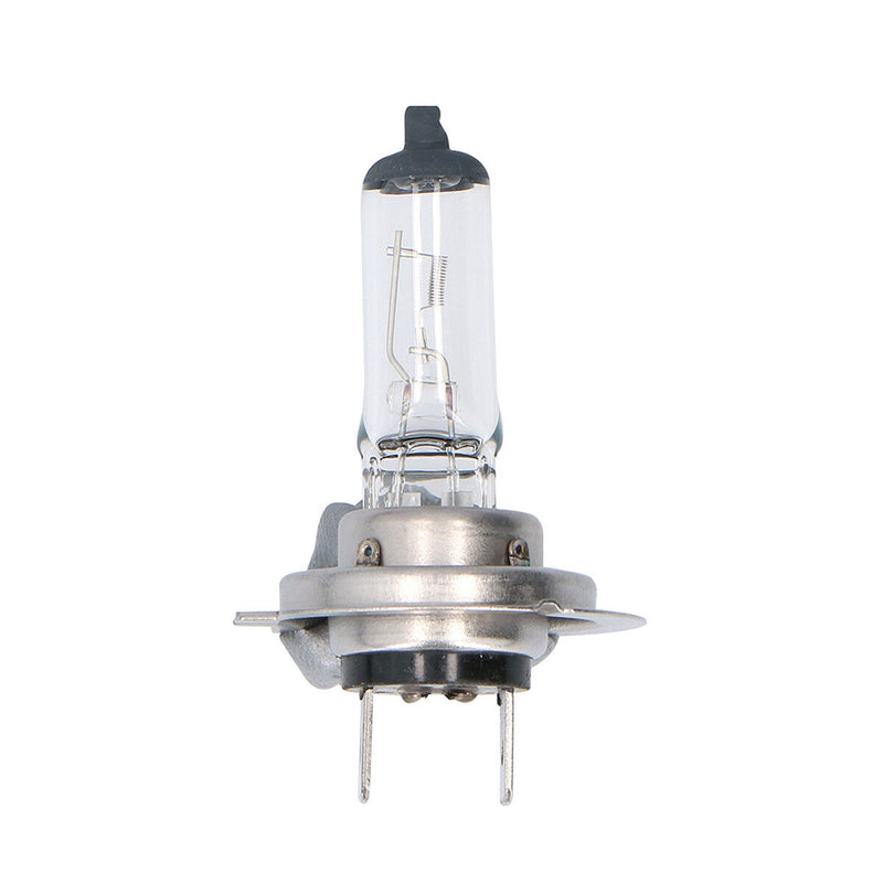 Lataa kuva gallerian katseluohjelmaan V9H119DF4F25B6E2F72DDB4AE01B0A71919R3869889P5
