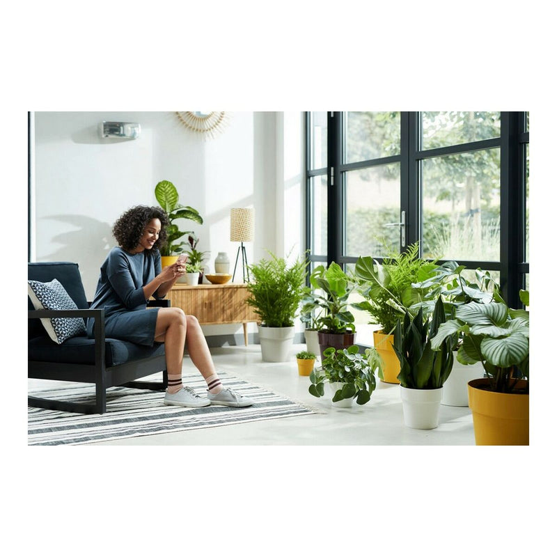 Lataa kuva gallerian katseluohjelmaan V7H463B6E752C3FCDD6D519B245ECD13A08R3430760P5
