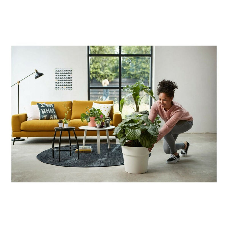 Lataa kuva gallerian katseluohjelmaan V7HE765A8421D39AFC1A9D3E33697DBEE60R3430762P6
