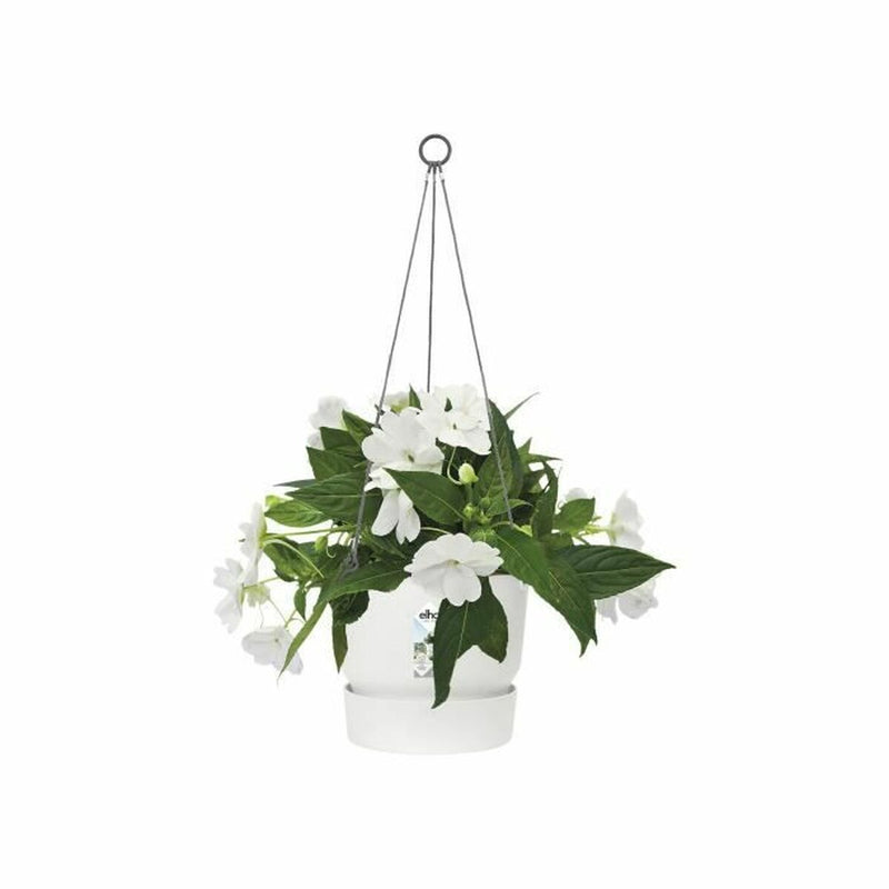 Lataa kuva gallerian katseluohjelmaan V8H43868A7A4CB501ED41CDD1B57EBC9089R3435787P2
