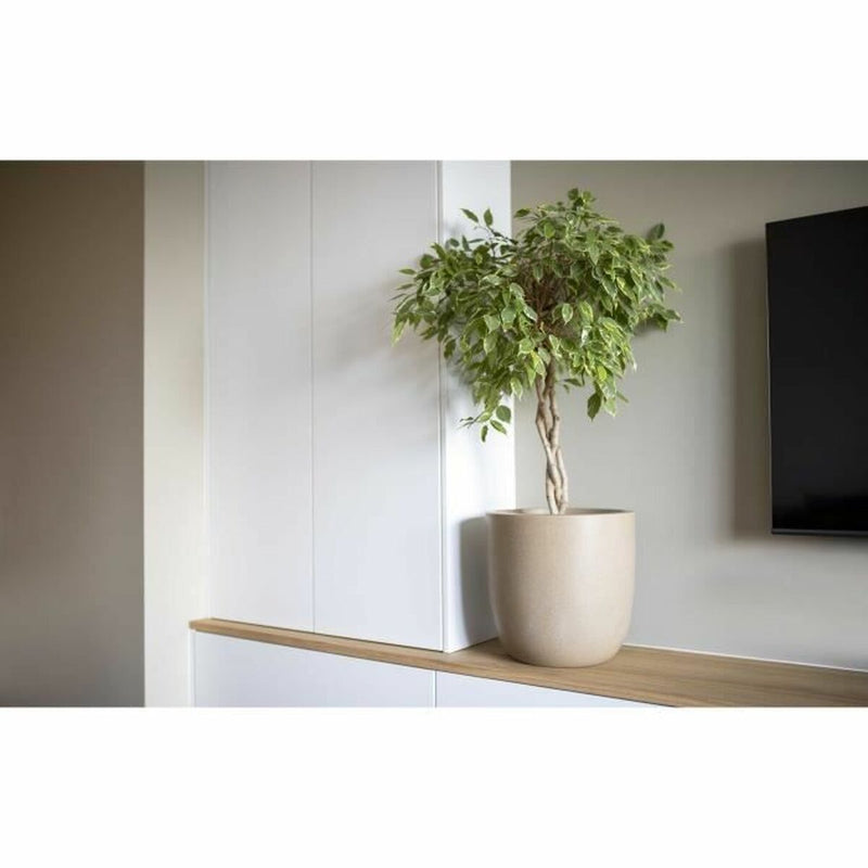 Lataa kuva gallerian katseluohjelmaan V4H97AA0CCC3428A0D290A4D0138FF9A162R4917101P2
