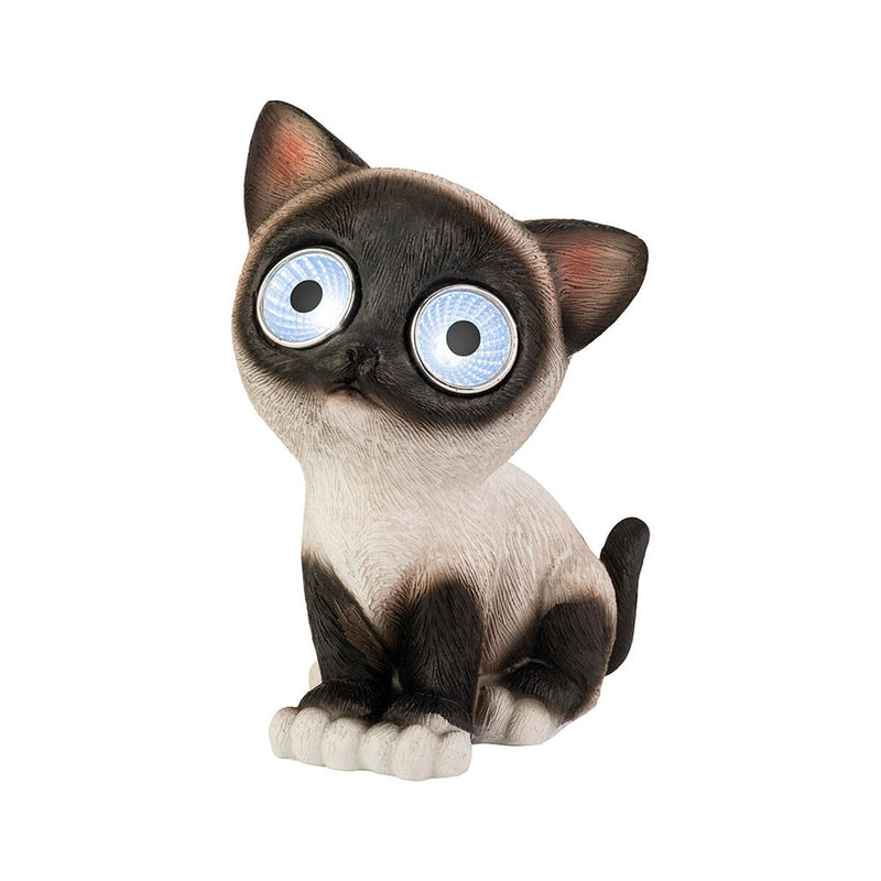 Lataa kuva gallerian katseluohjelmaan V6H2F333D7516225659D5144603569476FER5565646P4
