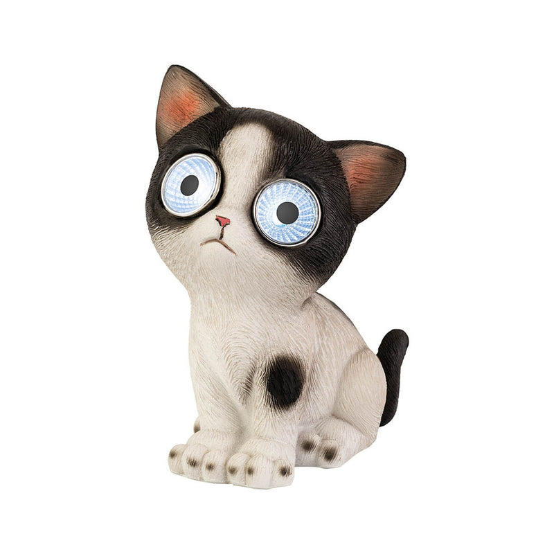 Lataa kuva gallerian katseluohjelmaan V6H9152D9923993B2632115FE59BA52E8CAR5565648P5
