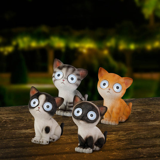 V6HCB6EDFC30D2337A3B19E130ABCD1A04DR5566356P6