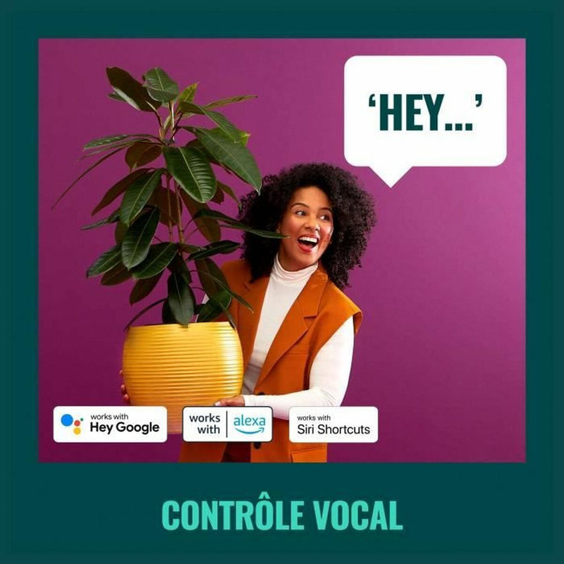 Lataa kuva gallerian katseluohjelmaan V5HB6780F5EA61CB951E038D258615BA8AFR4392073P5
