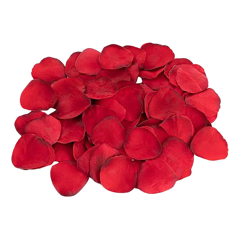 Lataa kuva gallerian katseluohjelmaan V4HD58FFABDD12311943295766481D20C2FR5547476P3
