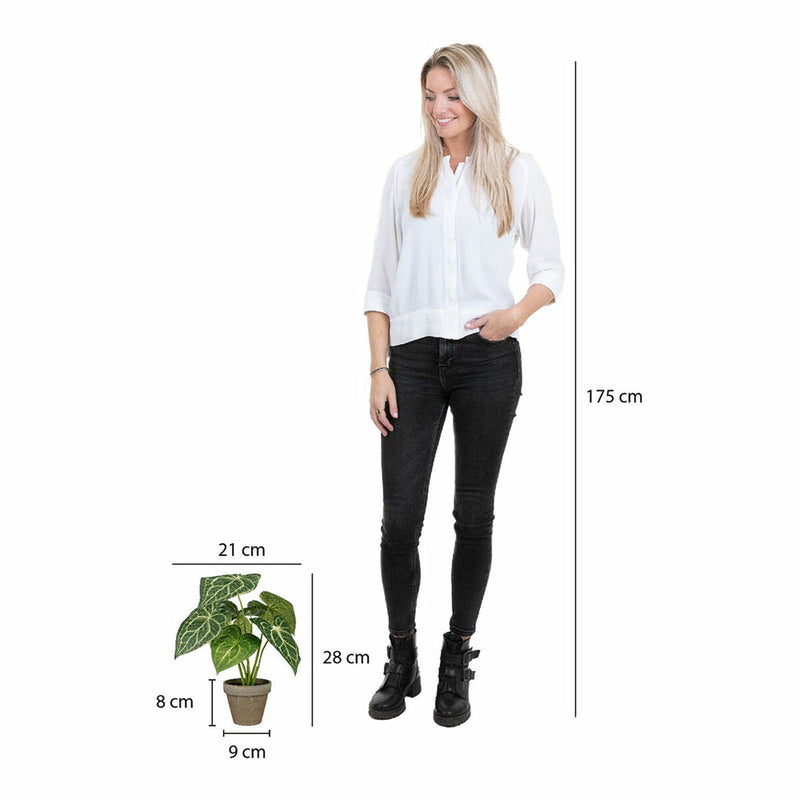 Lataa kuva gallerian katseluohjelmaan V6H62FC52F75CF40AF8DE3C07FCDA7D9780R4263157P5
