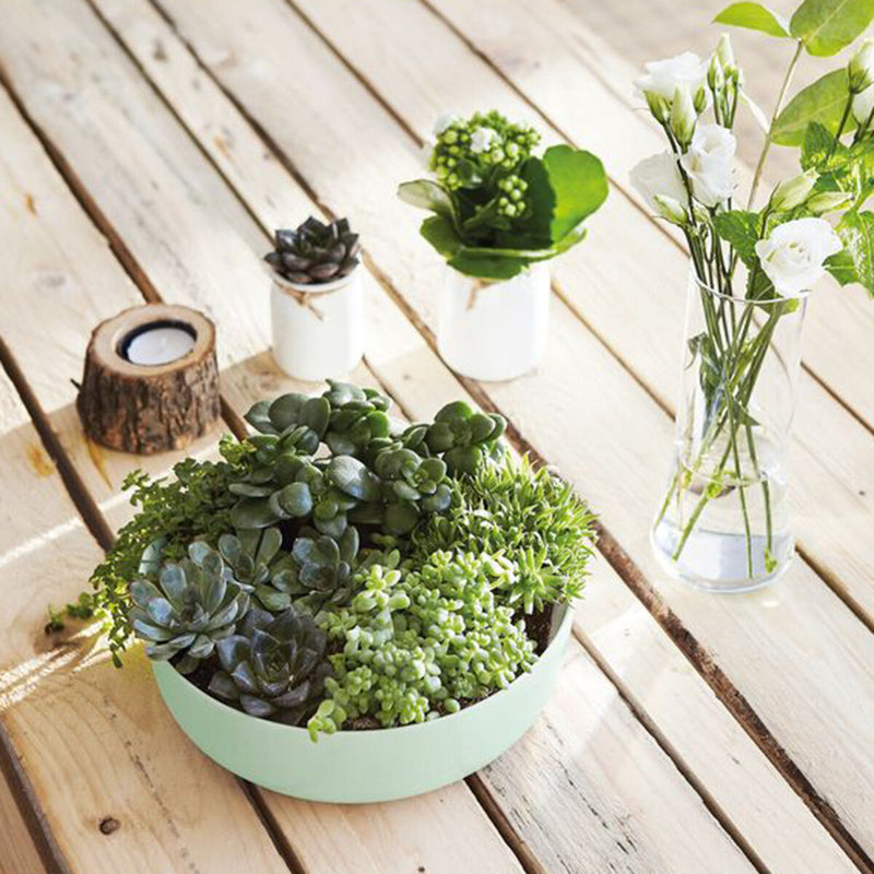 Lataa kuva gallerian katseluohjelmaan V5H834A0E62E7626F5484788F38099C47ACR4427614P2
