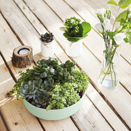 V5H834A0E62E7626F5484788F38099C47ACR4427614P2