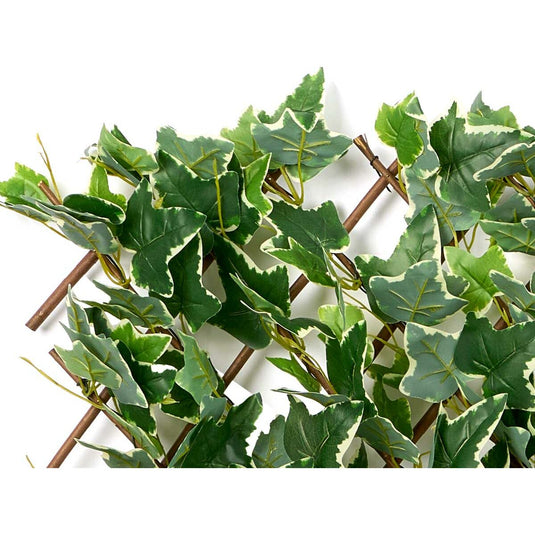 V8H345EF7F0FFEAFA951AE928B8DA320742R7127603P5